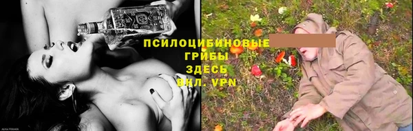 прущие грибы Белоозёрский