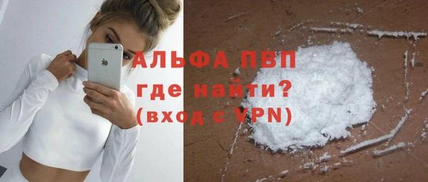 прущие грибы Белоозёрский