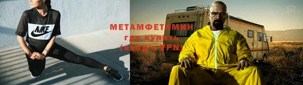 гидра Богородицк