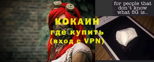 прущие грибы Белоозёрский