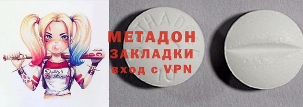 прущие грибы Белоозёрский