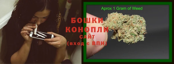 прущие грибы Белоозёрский
