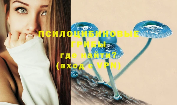 кокаин колумбия Белокуриха