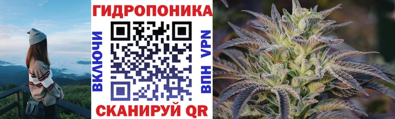 МАРИХУАНА план  что такое   Горно-Алтайск 